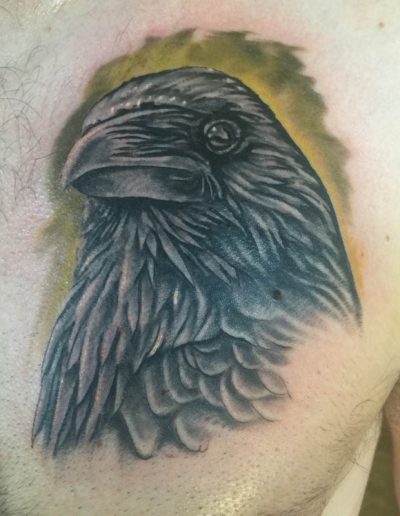 Raven tattoo, realistic raven tattoo , st Augustine tattoo