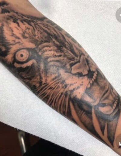 lion tattoo , black and grey , statue tattoo , St Augustine tattoo artist